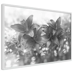 Poster 'Dark Lillies'