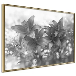 Poster 'Dark Lillies'