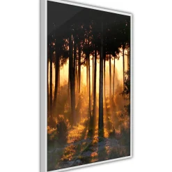 Poster 'Dark Tree Tops'