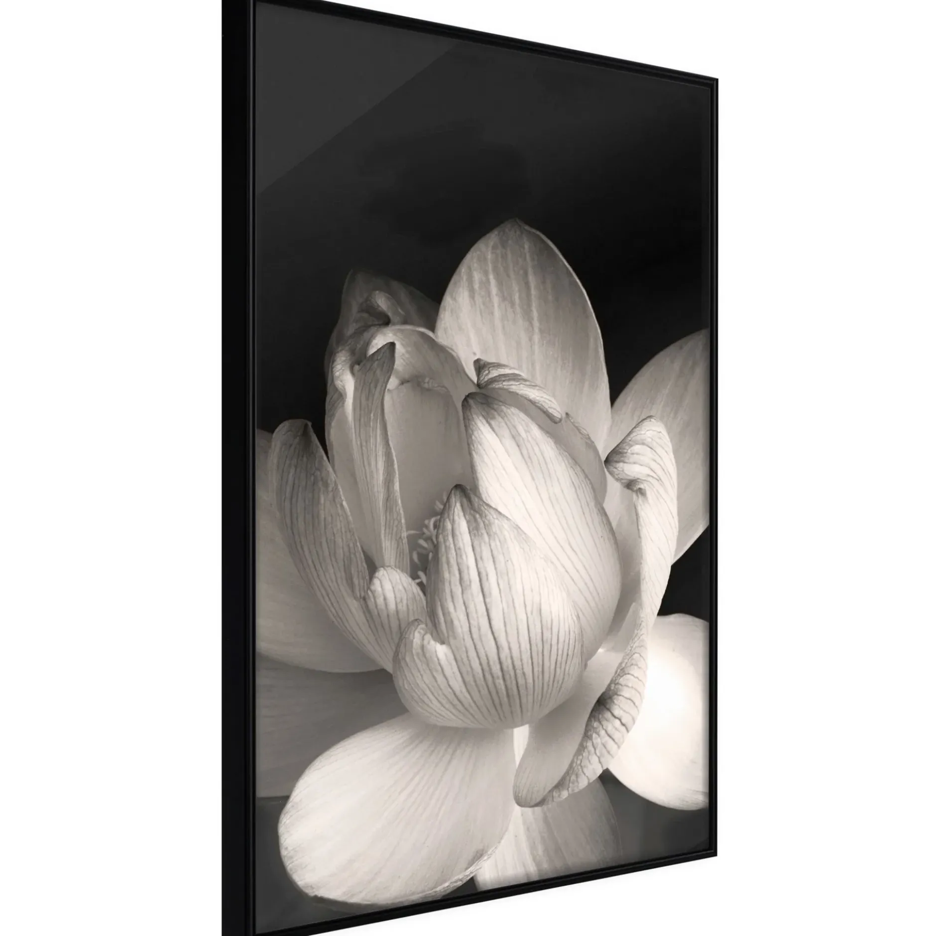 Poster 'Delicacy of a Flower'