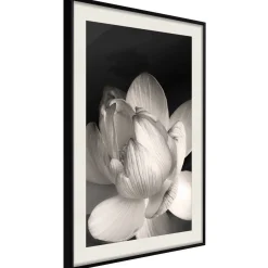 Poster 'Delicacy of a Flower'