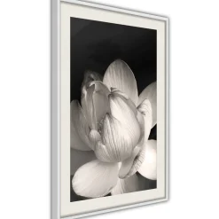 Poster 'Delicacy of a Flower'