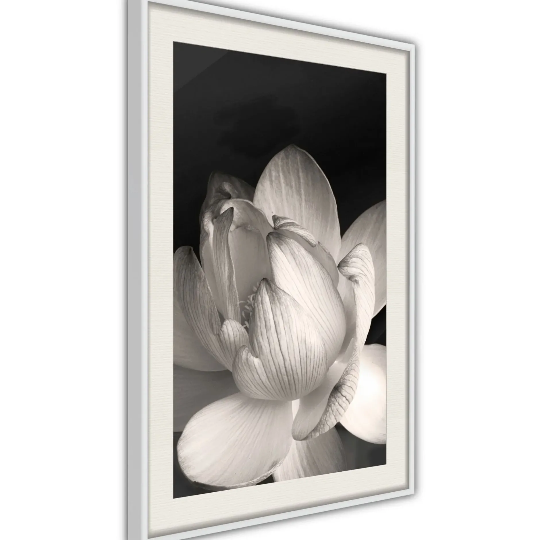Poster 'Delicacy of a Flower'