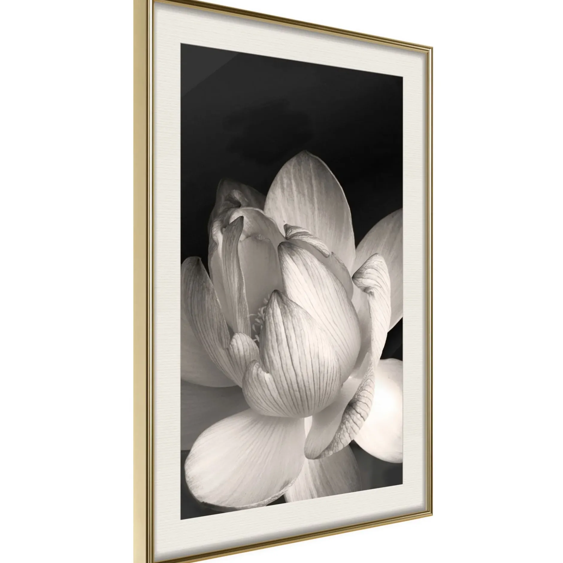 Poster 'Delicacy of a Flower'