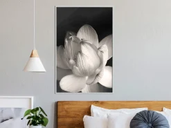 Poster 'Delicacy of a Flower'