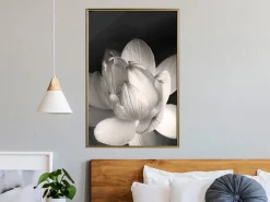Poster 'Delicacy of a Flower'
