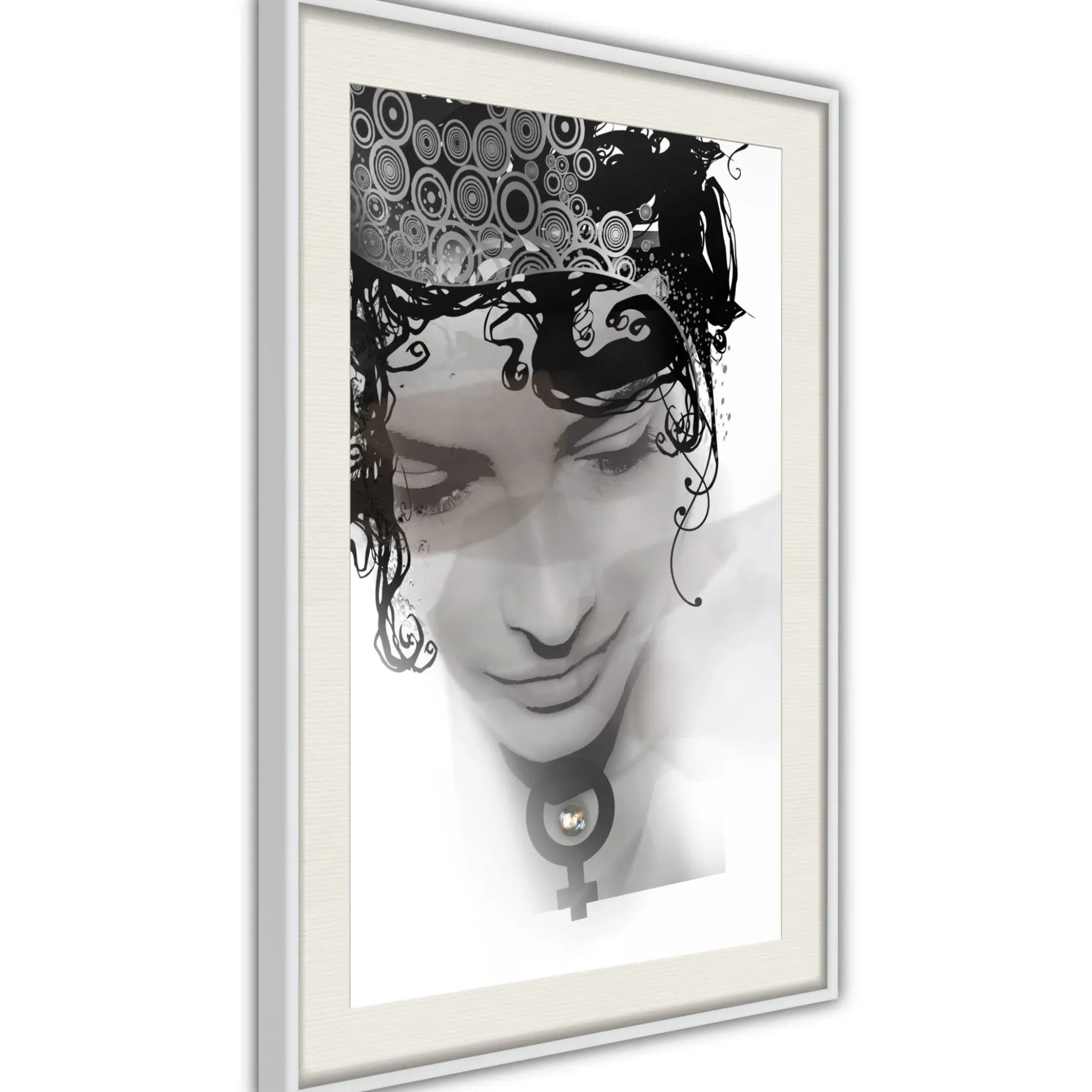 Poster 'Delicate Features'