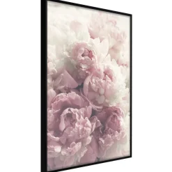 Poster 'Delicate Peonies'
