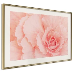 Poster 'Delicate Petals'