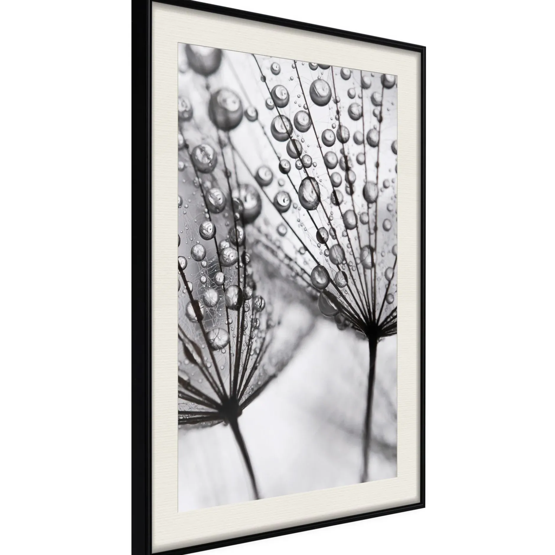 Poster 'Dew in the Macro Scale'