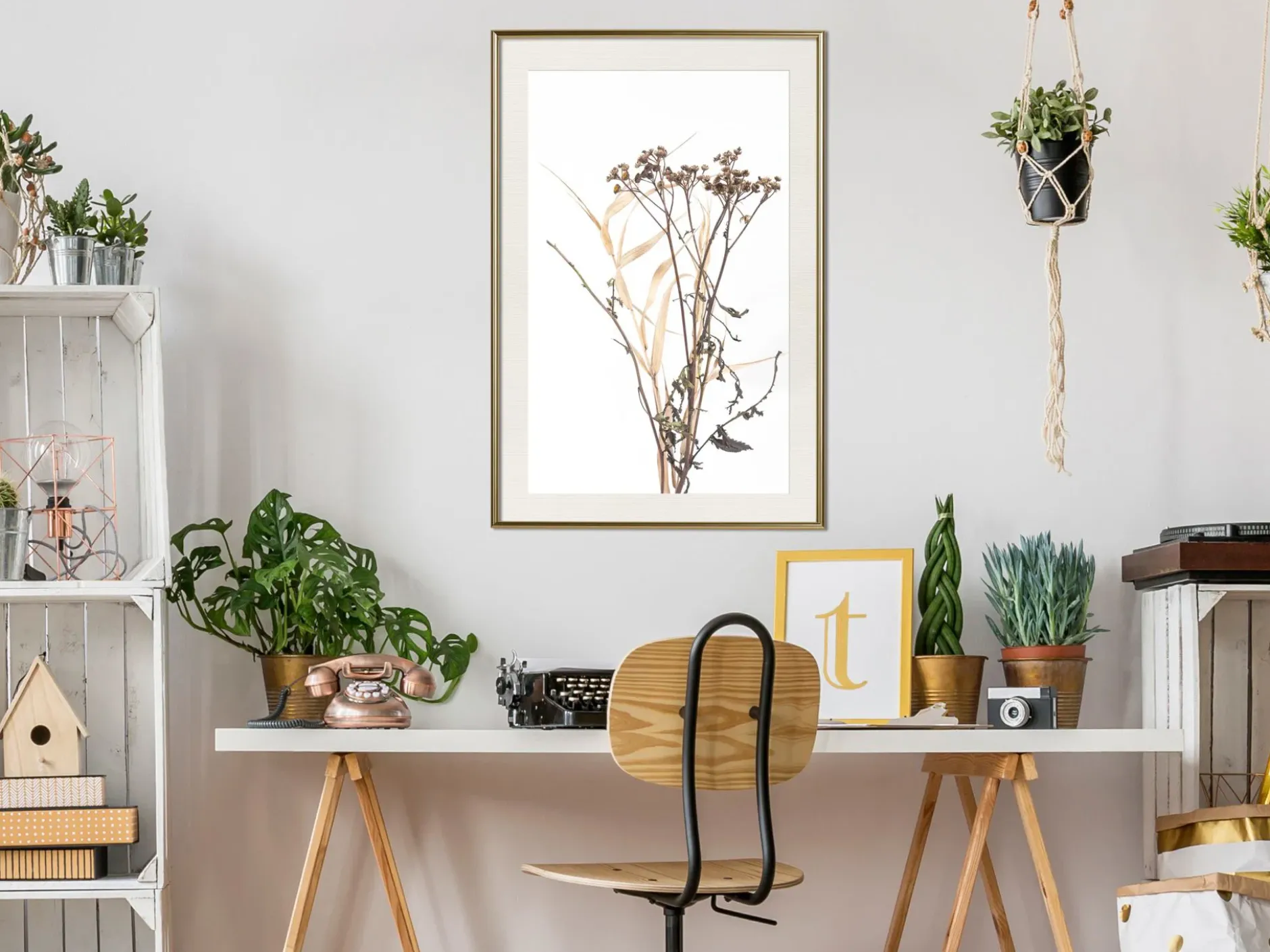 Poster 'Diary of a Herbalist'