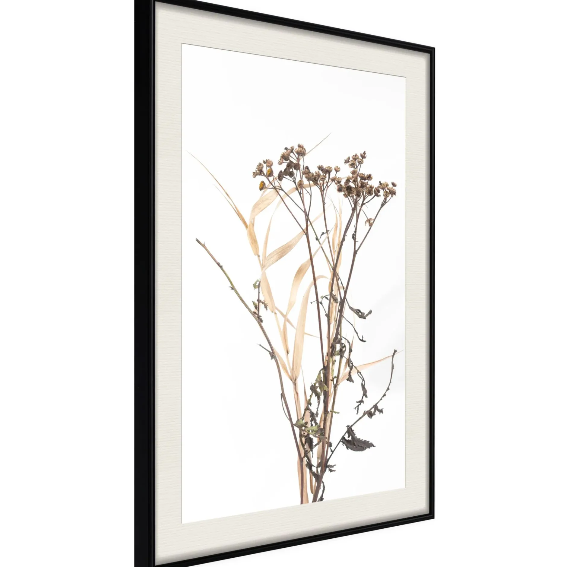 Poster 'Diary of a Herbalist'