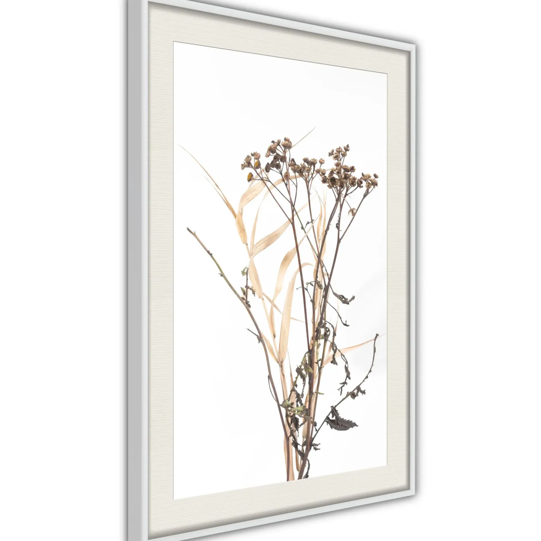 Poster 'Diary of a Herbalist'