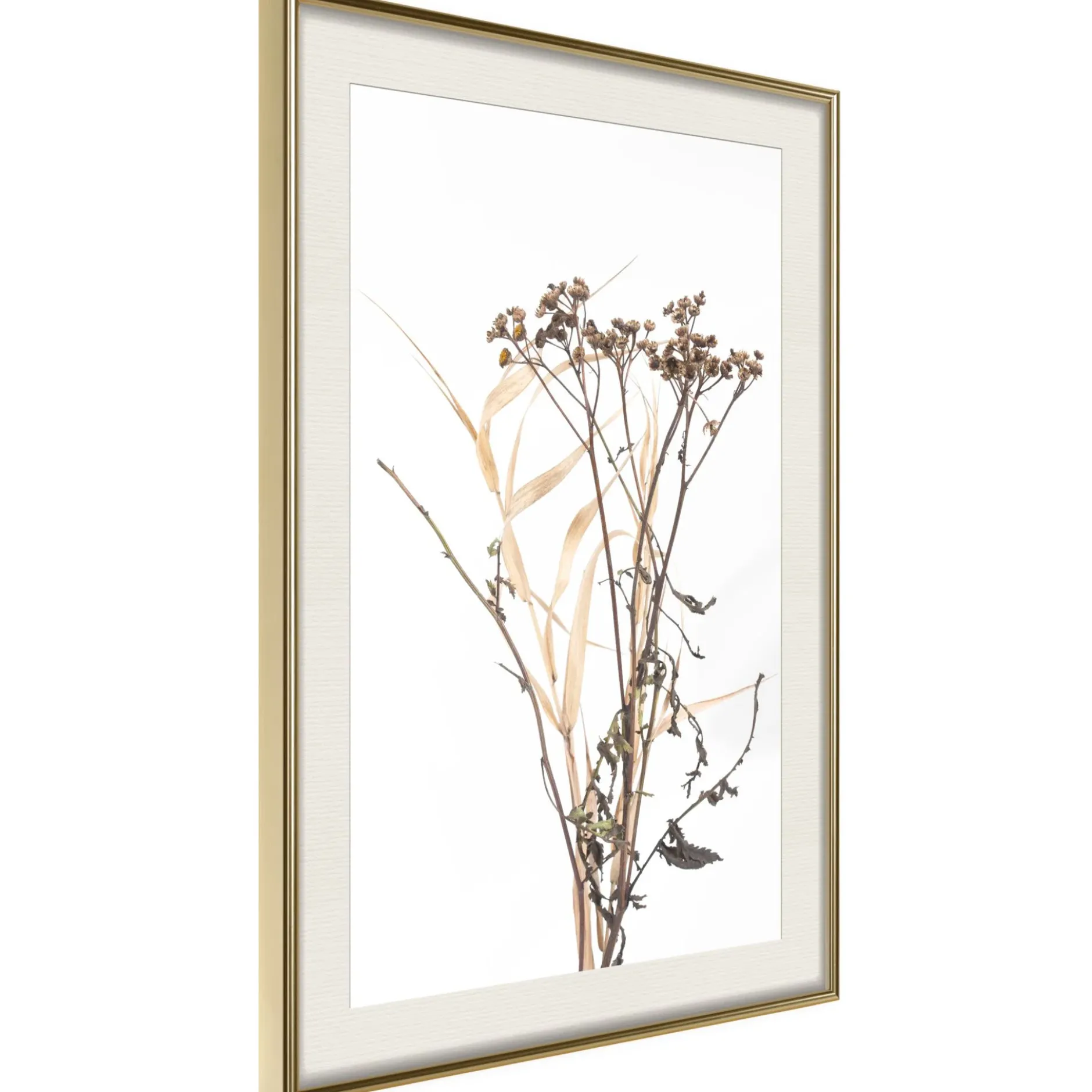 Poster 'Diary of a Herbalist'