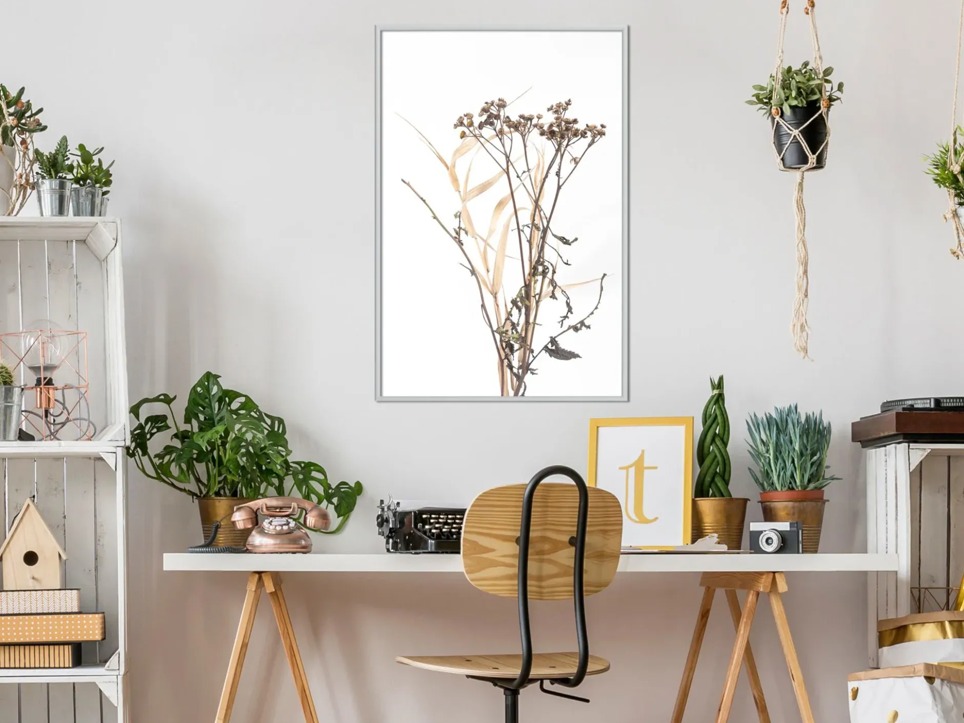 Poster 'Diary of a Herbalist'