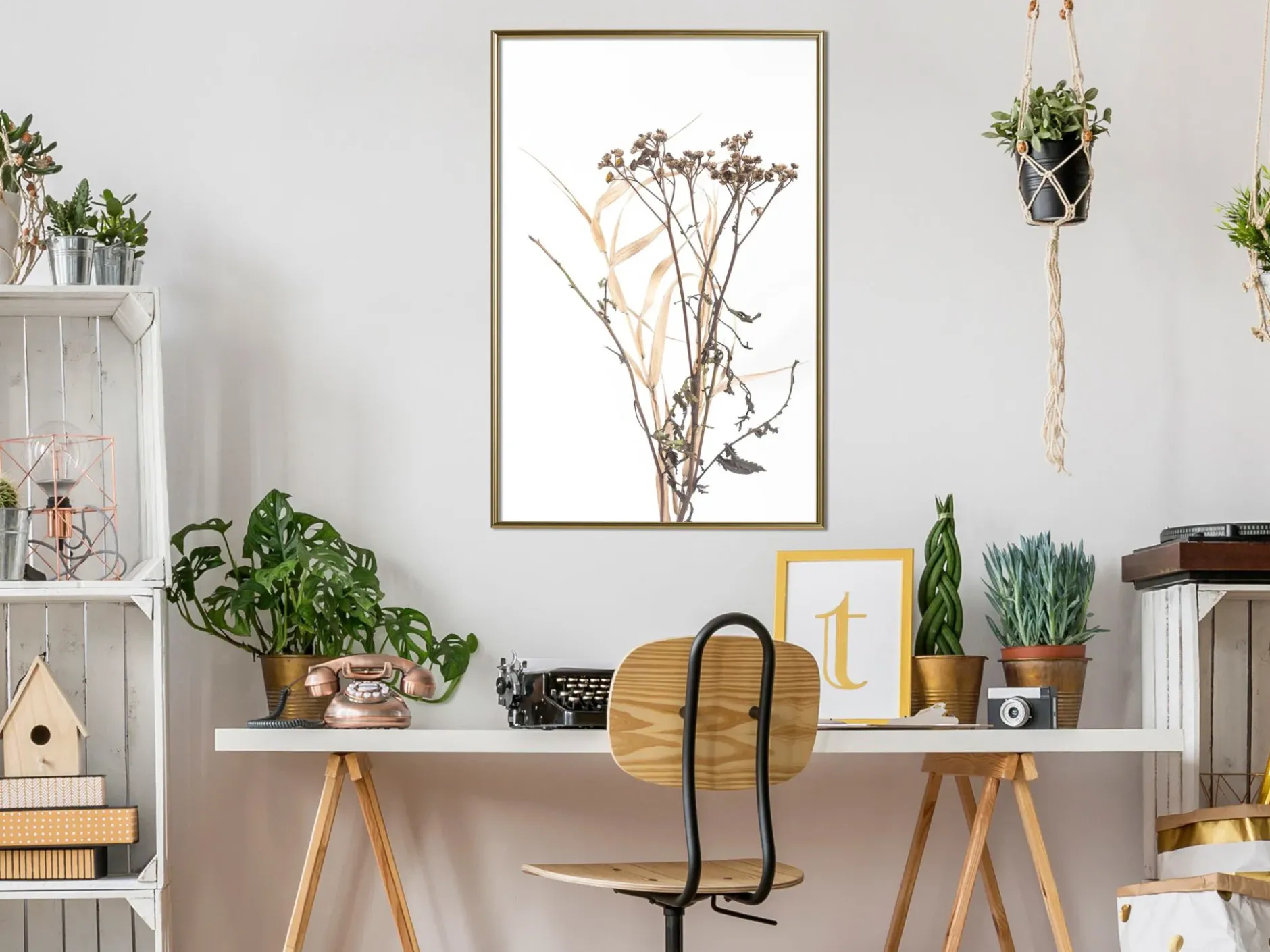 Poster 'Diary of a Herbalist'