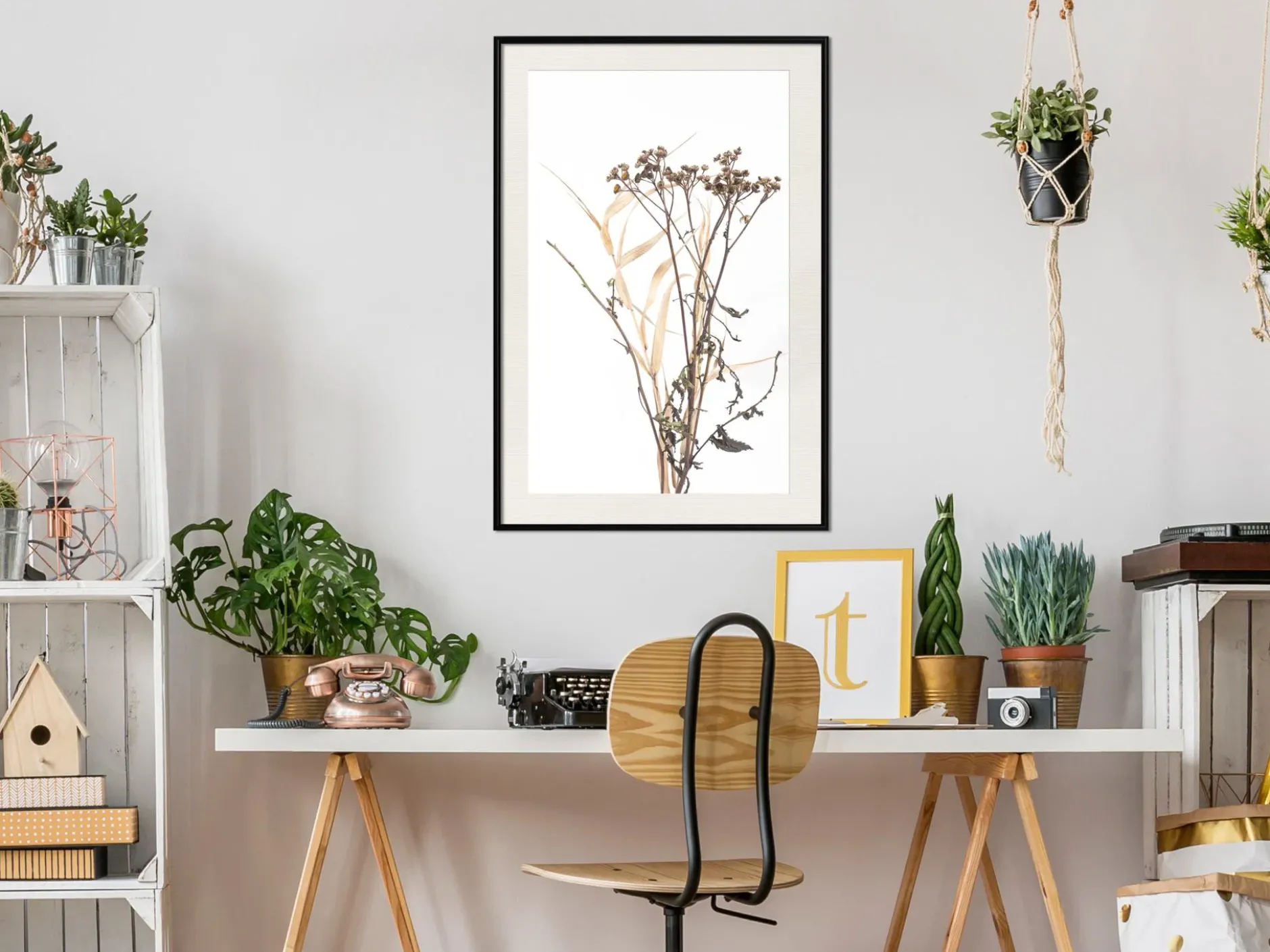 Poster 'Diary of a Herbalist'