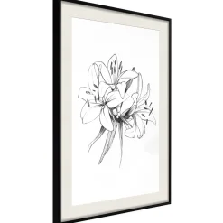 Poster 'Drawn Flowers'