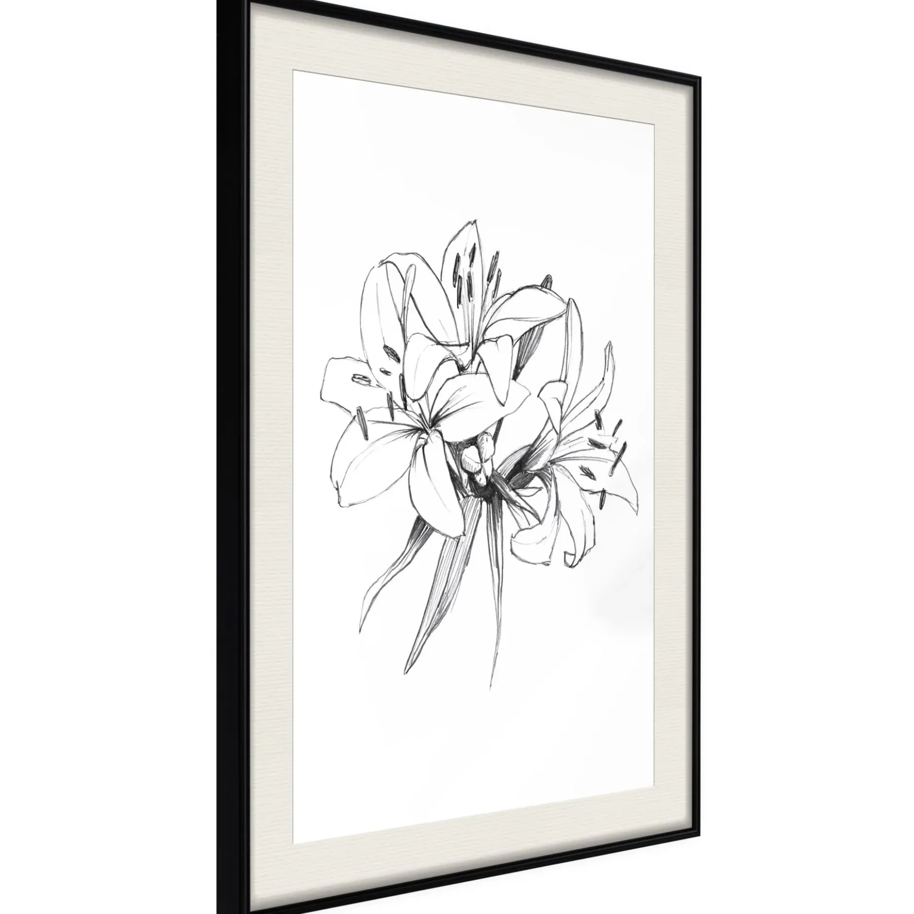 Poster 'Drawn Flowers'