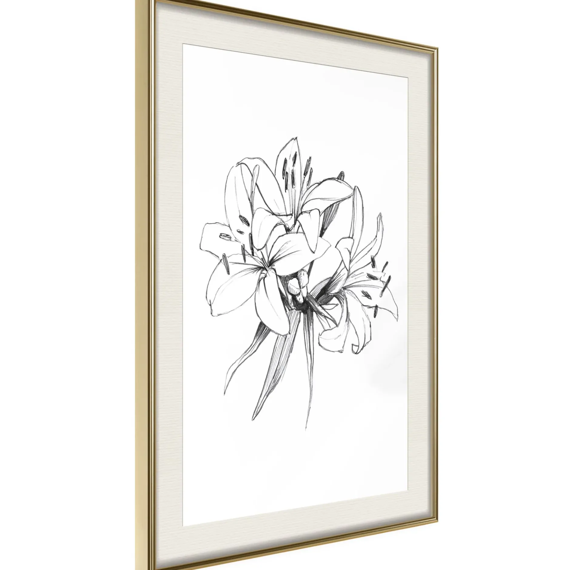 Poster 'Drawn Flowers'