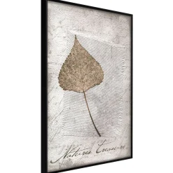Poster 'Dried Leaf'