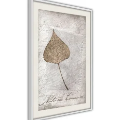Poster 'Dried Leaf'