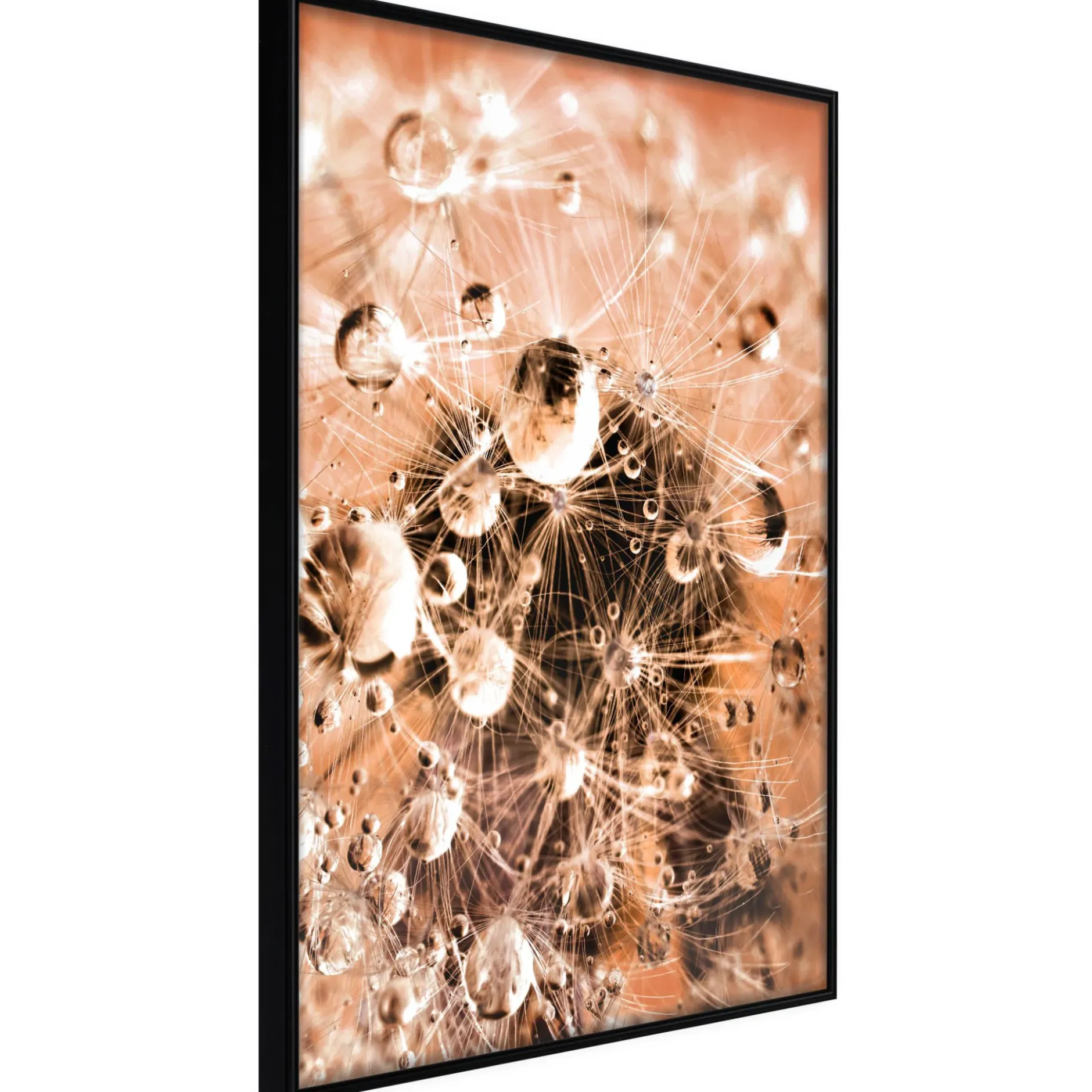 Poster 'Drops on Dandelion'