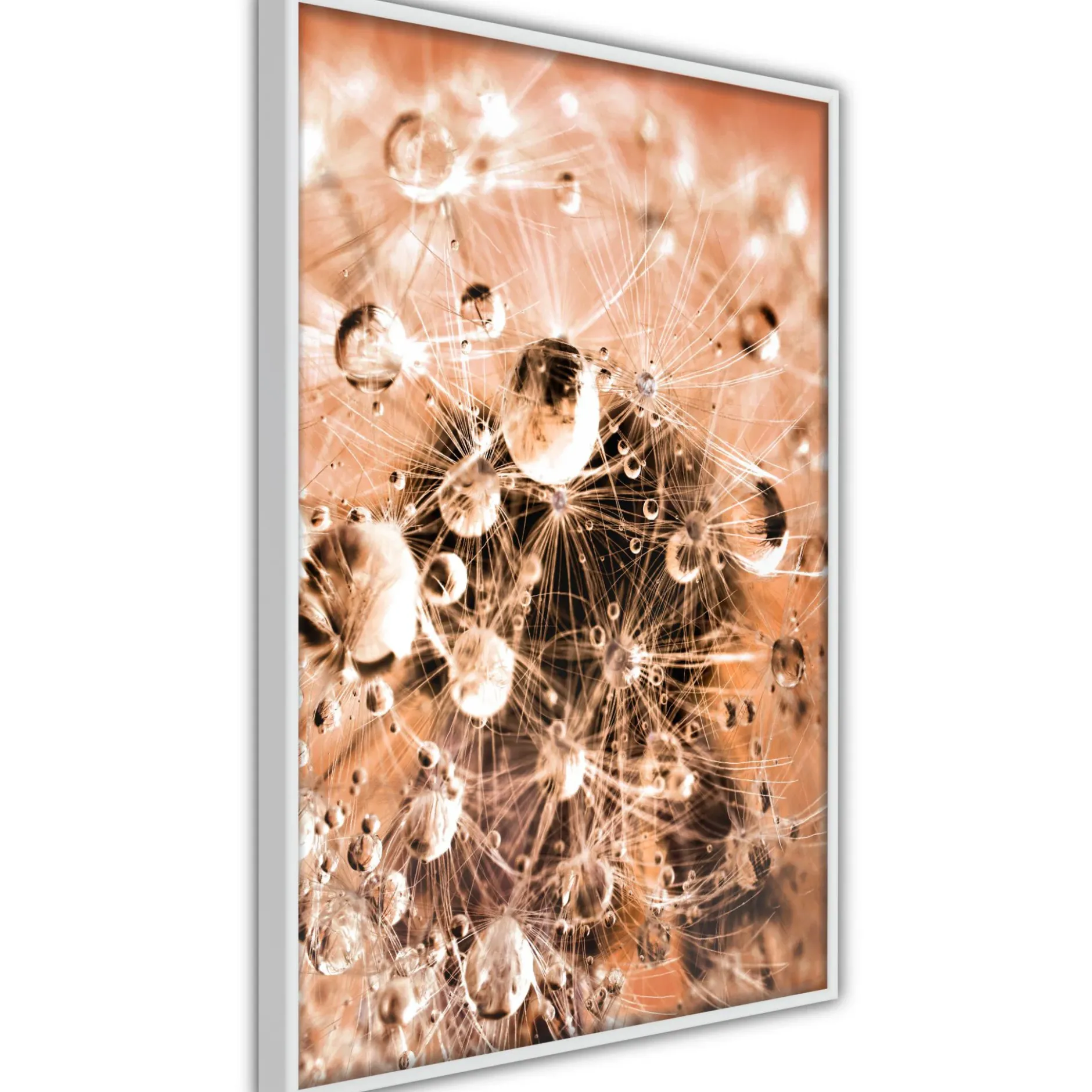 Poster 'Drops on Dandelion'