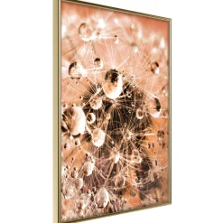 Poster 'Drops on Dandelion'