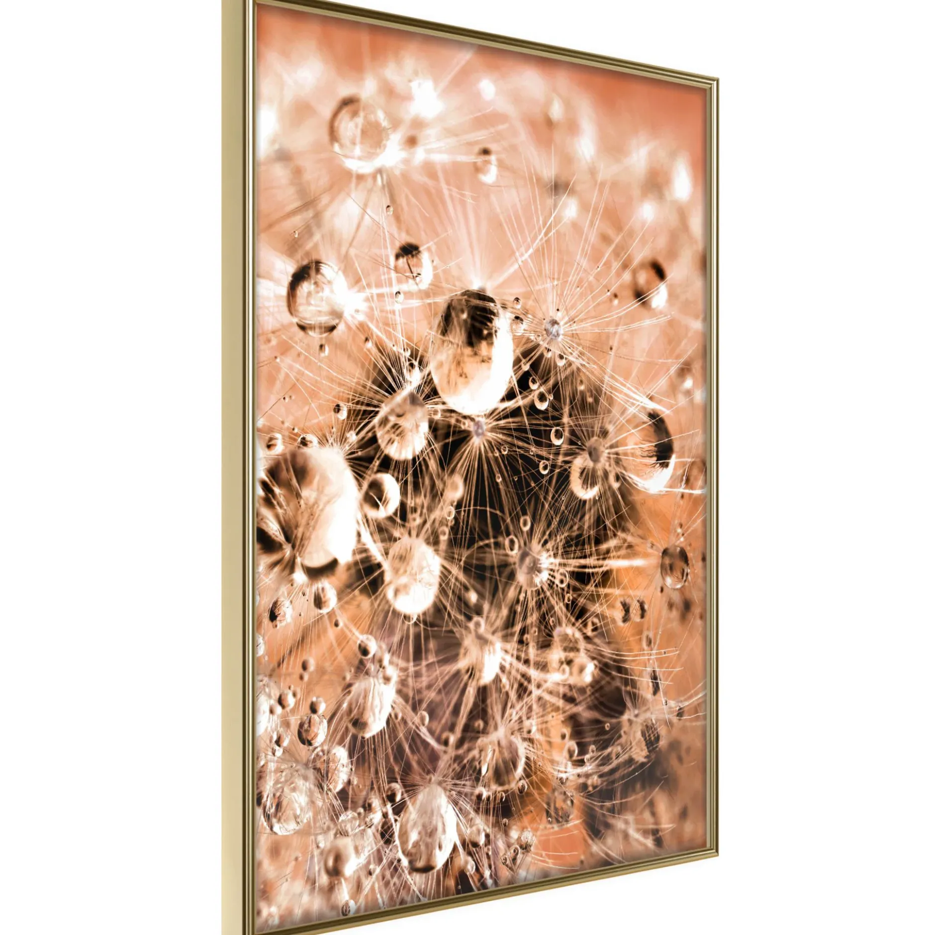 Poster 'Drops on Dandelion'