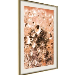 Poster 'Drops on Dandelion'