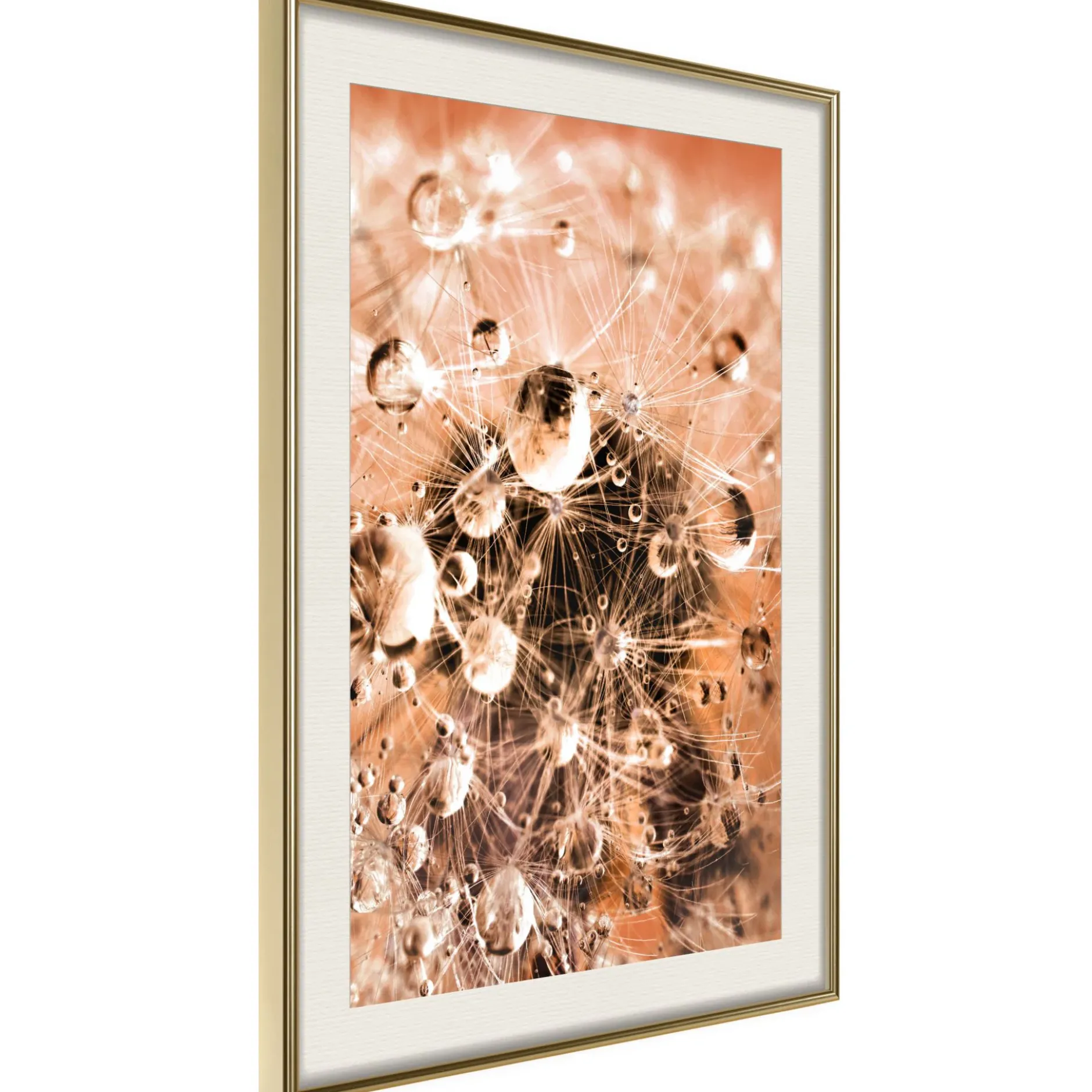 Poster 'Drops on Dandelion'