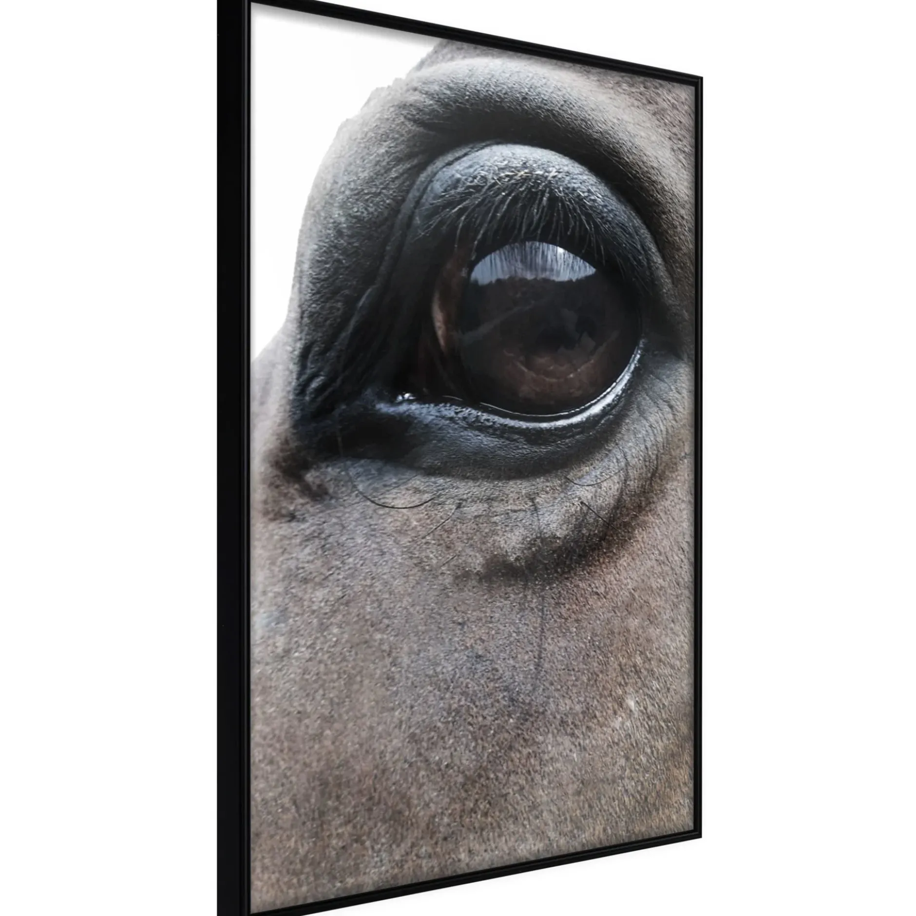 Poster 'Honest Eyes'