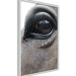 Poster 'Honest Eyes'