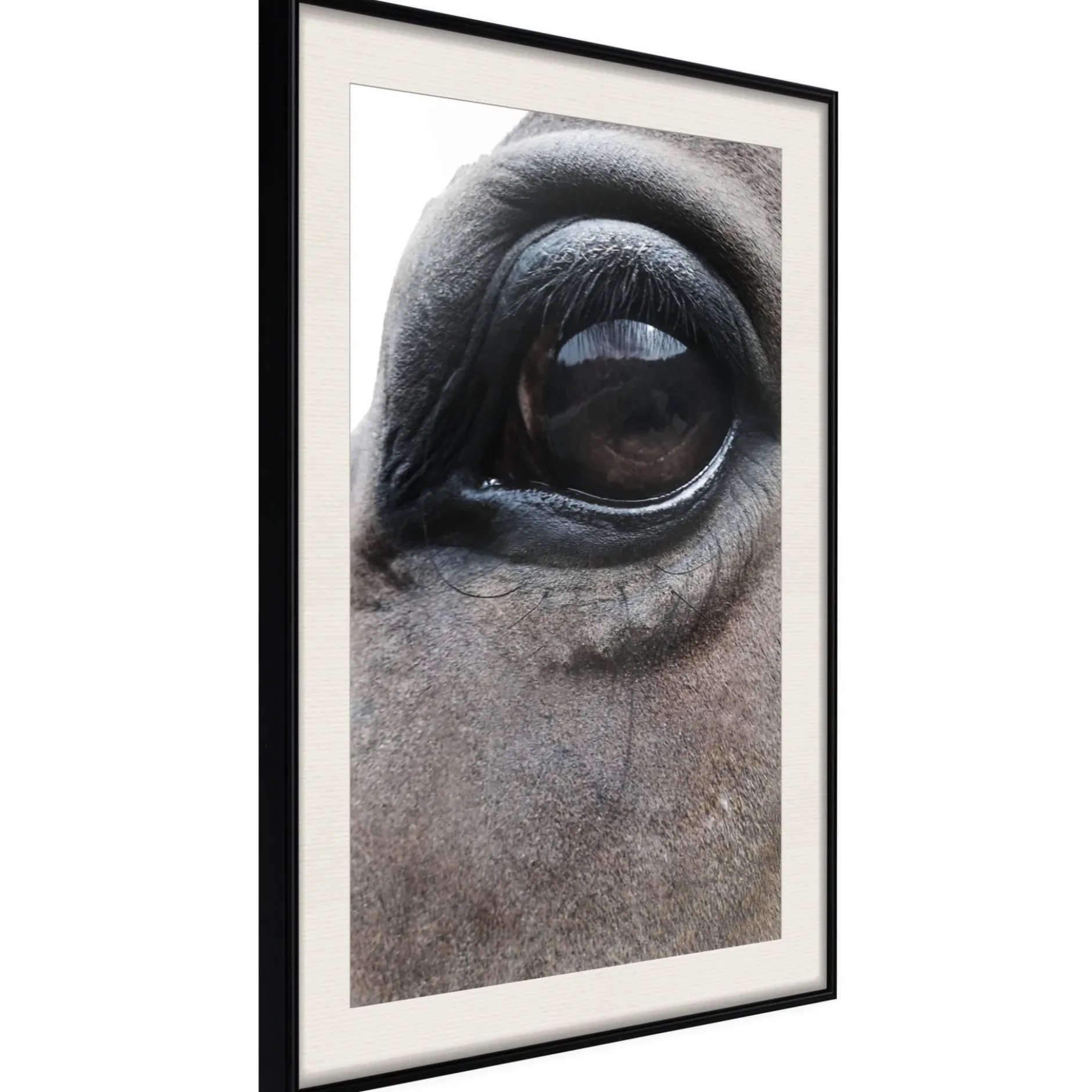 Poster 'Honest Eyes'