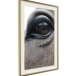 Poster 'Honest Eyes'