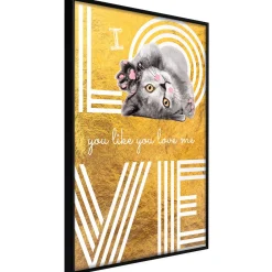 Poster 'I Love You like You Love Me'