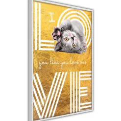 Poster 'I Love You like You Love Me'