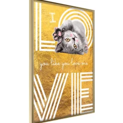 Poster 'I Love You like You Love Me'