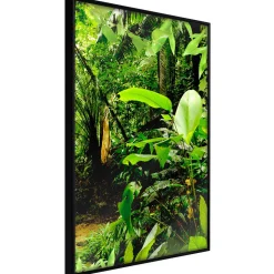Poster 'In the Rainforest'