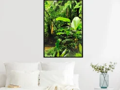 Poster 'In the Rainforest'