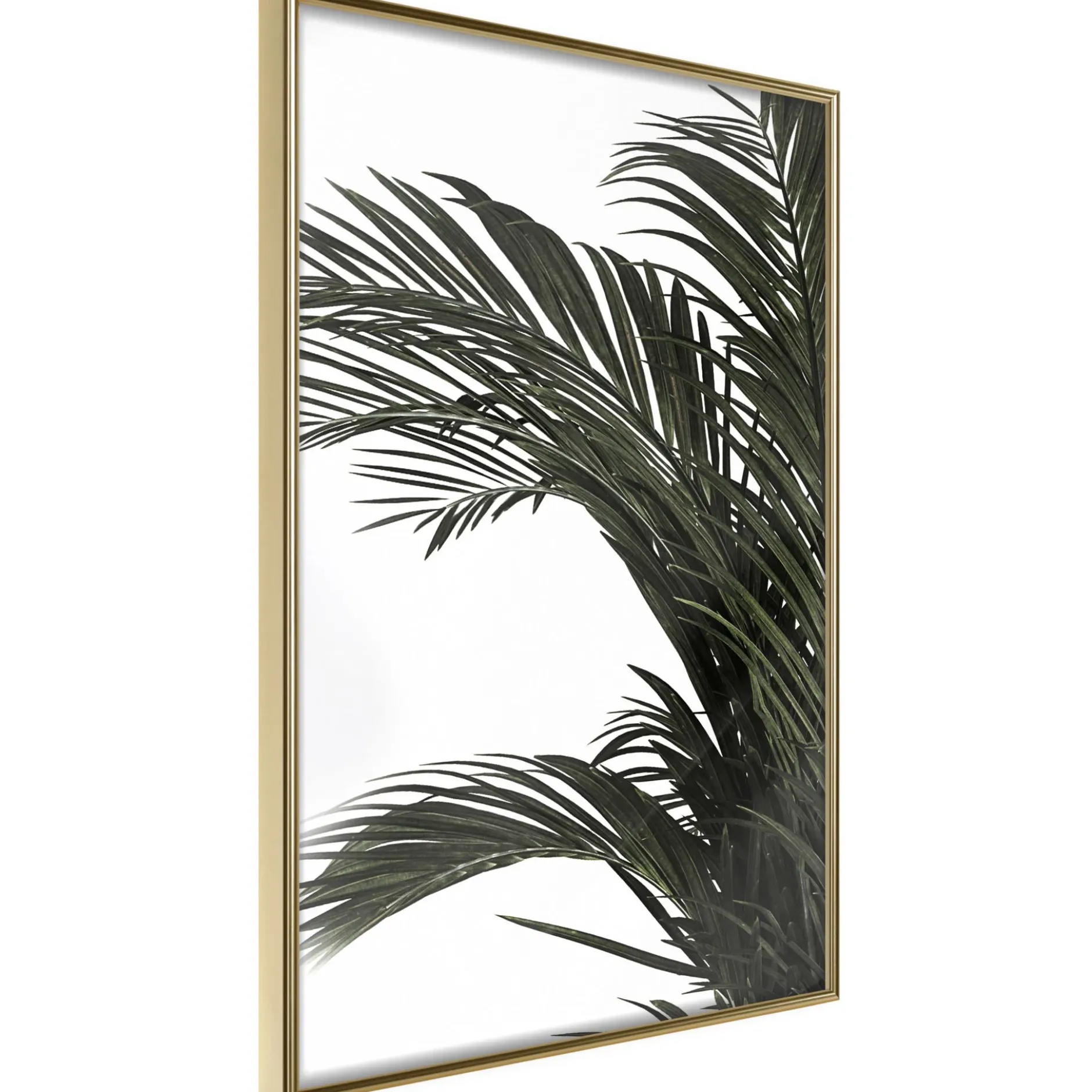 Poster 'Jungle Scent'