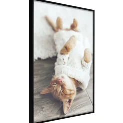 Poster 'Lazy Cat'