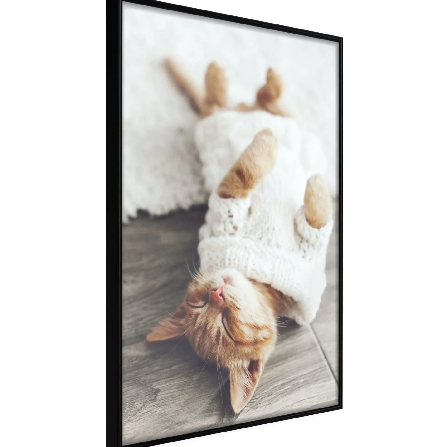 Poster 'Lazy Cat'