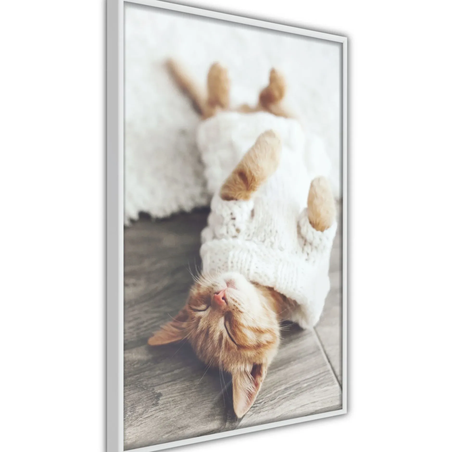 Poster 'Lazy Cat'