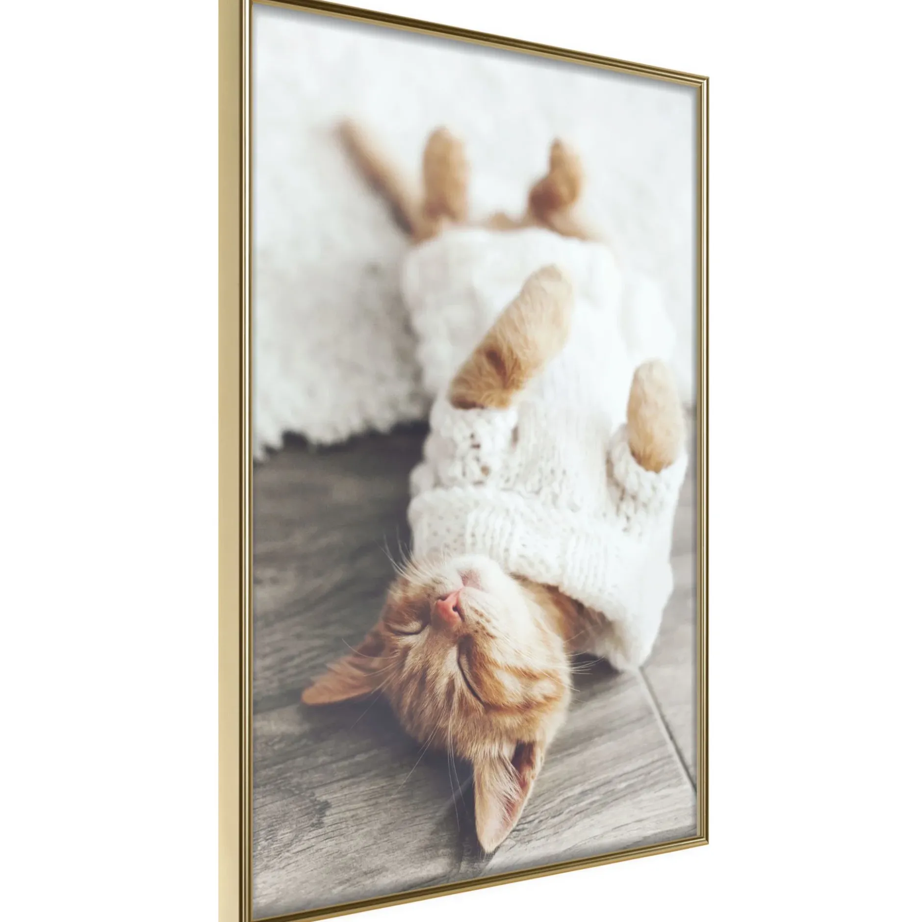 Poster 'Lazy Cat'