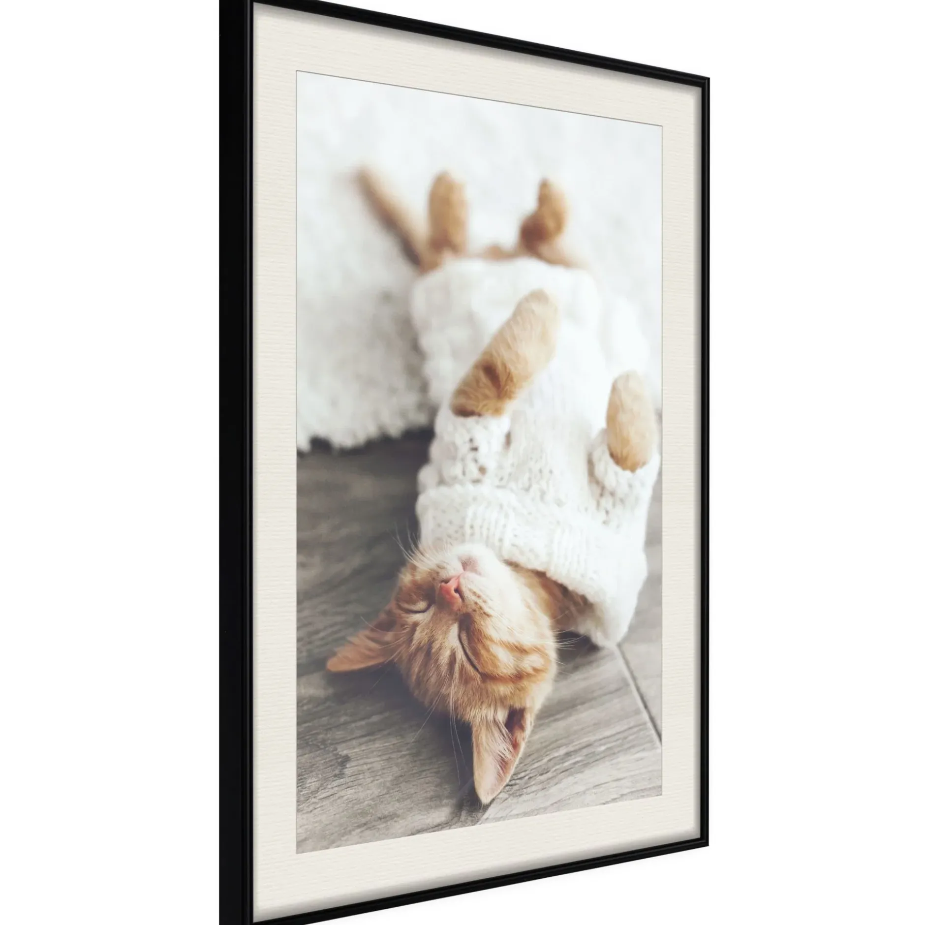Poster 'Lazy Cat'