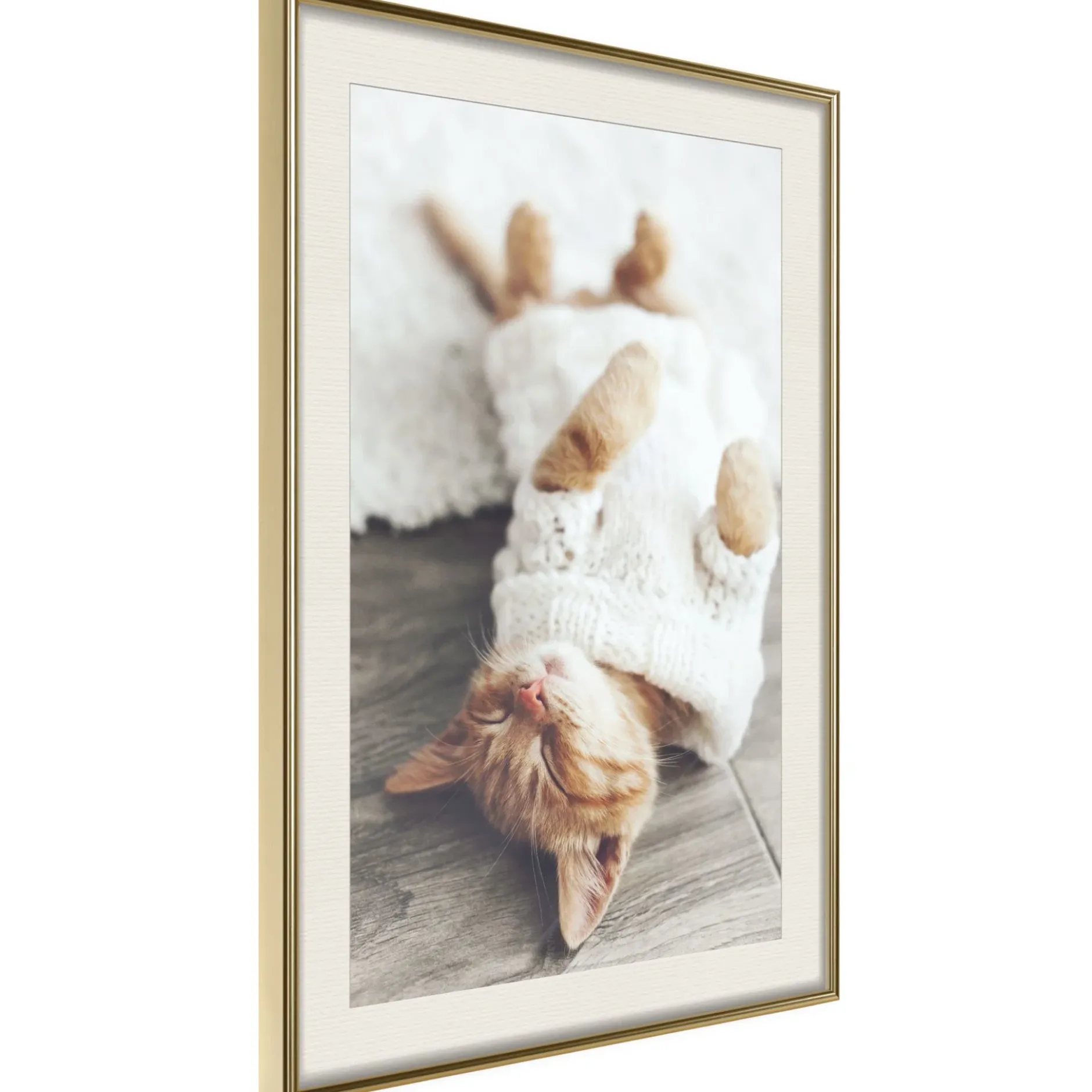 Poster 'Lazy Cat'