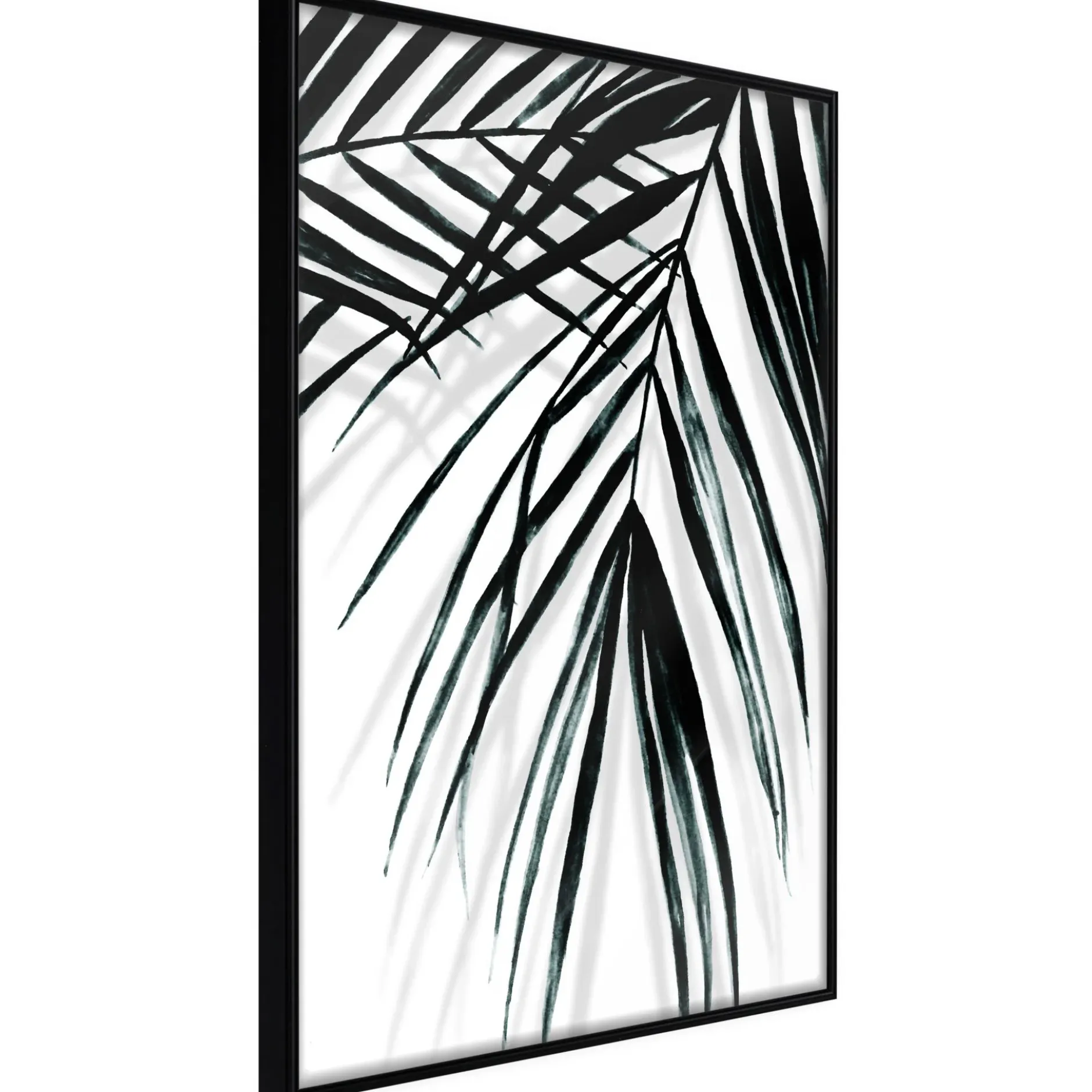 Poster 'Leaf and Its Shadow'