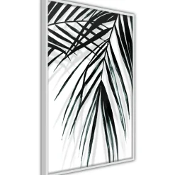 Poster 'Leaf and Its Shadow'